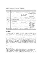 [마케팅보고서]신인 가수 마케팅 전략 수립과 계획-12