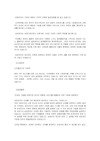 [마케팅]2위 기업인 LG가 현재 선두기업인 삼성을 앞지르기 위한 방안모색-5