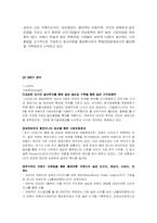 [마케팅]2위 기업인 LG가 현재 선두기업인 삼성을 앞지르기 위한 방안모색-12