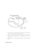 [경영정보]`FedEx` 페덱스 경영정보 분석-10