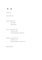 [마케팅전략]다음과 네이버의 광고(PROMOTION)전략 비교분석-2