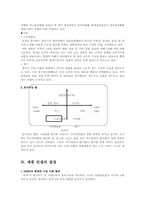 [마케팅관리]롯데칠성의 `히야` 마케팅 분석-7