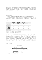 [마케팅관리]롯데칠성의 `히야` 마케팅 분석-10