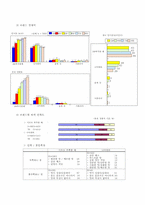 [마케팅관리]`2%부족할 때` 마케팅 성공요인 분석-10