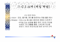 [마케팅]제일제당 `쇠고기 다시다` 전략마케팅-3