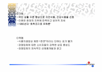 [마케팅]제일제당 `쇠고기 다시다` 전략마케팅-20