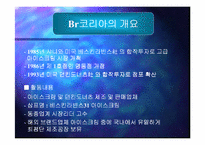 [기업전략]미국 기업의 성공 사례-4
