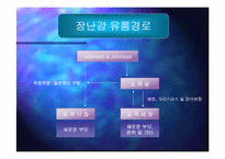 [기업전략]미국 기업의 성공 사례-15