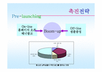 [마케팅관리]클랜징 화장품 신제품 개발 마케팅 전략-9