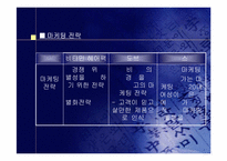 [마케팅]태평양 ‘헤어팩’ 샴푸 마케팅활동에 대한 평가와 대안-16