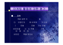 [마케팅]태평양 ‘헤어팩’ 샴푸 마케팅활동에 대한 평가와 대안-17