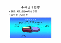 [마케팅]하이주 마케팅전략-5