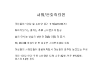 [마케팅]하이주 마케팅전략-12