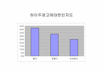 [마케팅]하이주 마케팅전략-18