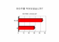 [마케팅]하이주 마케팅전략-20