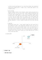 [국제경영]가상기업 중국의 휴대폰 시장 진출전략 및 방법-20