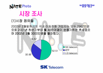 [서비스마케팅]SK텔레콤 네이트NATE 포토데코 마케팅 전략-13