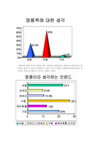 [명품마케팅]명품마케팅 실태와 사례 원인-13