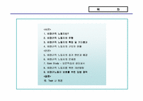 [비정규노동자]비정규직 노동자의 문제점과 개선방향-2