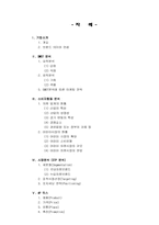 [마케팅]빈폴 키즈 마케팅 전략-2
