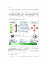 [경영]삼성플라자 경영분석-6