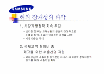 [국제마케팅]`삼성’ LCD 모니터의 브라질 마케팅 전략-3