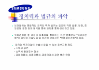 [국제마케팅]`삼성’ LCD 모니터의 브라질 마케팅 전략-4
