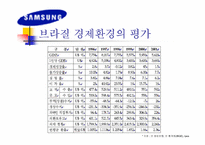 [국제마케팅]`삼성’ LCD 모니터의 브라질 마케팅 전략-5