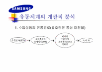 [국제마케팅]`삼성’ LCD 모니터의 브라질 마케팅 전략-8