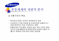 [국제마케팅]`삼성’ LCD 모니터의 브라질 마케팅 전략-9