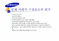 [국제마케팅]`삼성’ LCD 모니터의 브라질 마케팅 전략-10