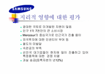 [국제마케팅]`삼성’ LCD 모니터의 브라질 마케팅 전략-11