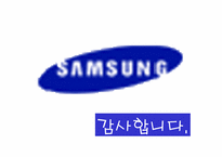 [국제마케팅]`삼성’ LCD 모니터의 브라질 마케팅 전략-17