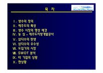 [마케팅]샘물 제주삼다수 마케팅전략-2