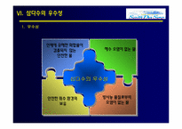 [마케팅]샘물 제주삼다수 마케팅전략-13