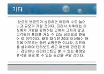 가상브랜드의 마케팅전략-14