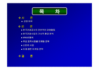 [관광마케팅]관광공사 전략 마케팅-2