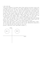 [마케팅관리]해태음료 `NFC`마케팅 전략 분석-8