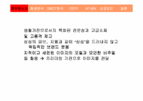 [마케팅]삼성 하우젠의 마케팅 전략-4