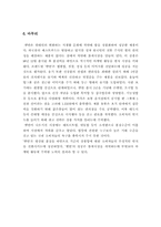 [마케팅]햇반 마케팅전략 분석-12