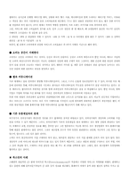 [인터넷마케팅]삼성전자와 LG전자의 인터넷 마케팅 비교분석-8