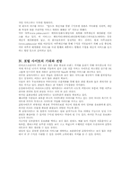 [마케팅]인터넷포털사이트 비교와 인터넷 마케팅-12