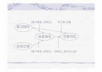 [학사][광고]광고 효과 단계에 있어서 평가목표, 관여도, 태도 자신감의 조절적 작용-6