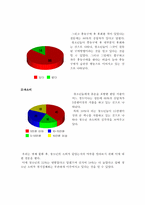 [사회문화]청소년 소비실태 및 문제점-3