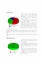 [사회문화]청소년 소비실태 및 문제점-5