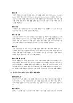 [마케팅]기아 오피러스 마케팅전략-2