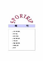 [사업계획서]레져스포츠 사업계획서-2