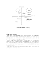 [마케팅]`나이키`의 경영전략과 마케팅-8