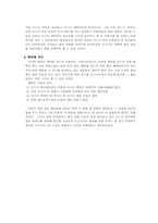 [국제경영]디즈니사의 한국 시장 공략과 대안-5