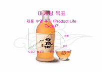 [마케팅전략]국순당 백세주 마케팅 계획서-13